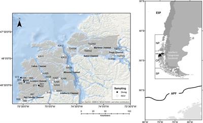 Filling ecological gaps in Chilean Central Patagonia: Patterns of biodiversity and distribution of sublittoral benthic invertebrates from the Katalalixar National Reserve waters (~48°S)